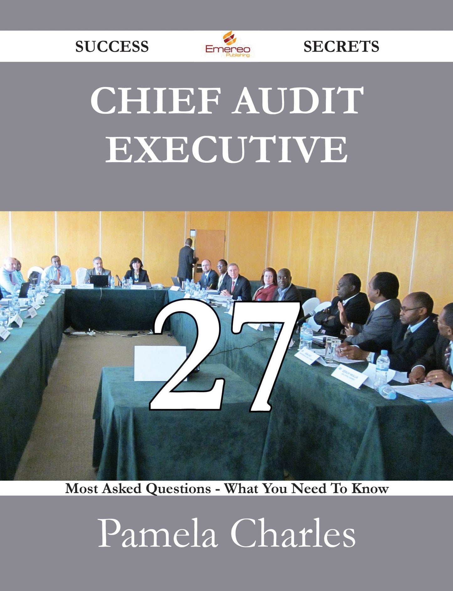 Chief Audit Executive 27 Success Secrets - 27 Most Asked Questions On Chief Audit Executive - What You Need To Know