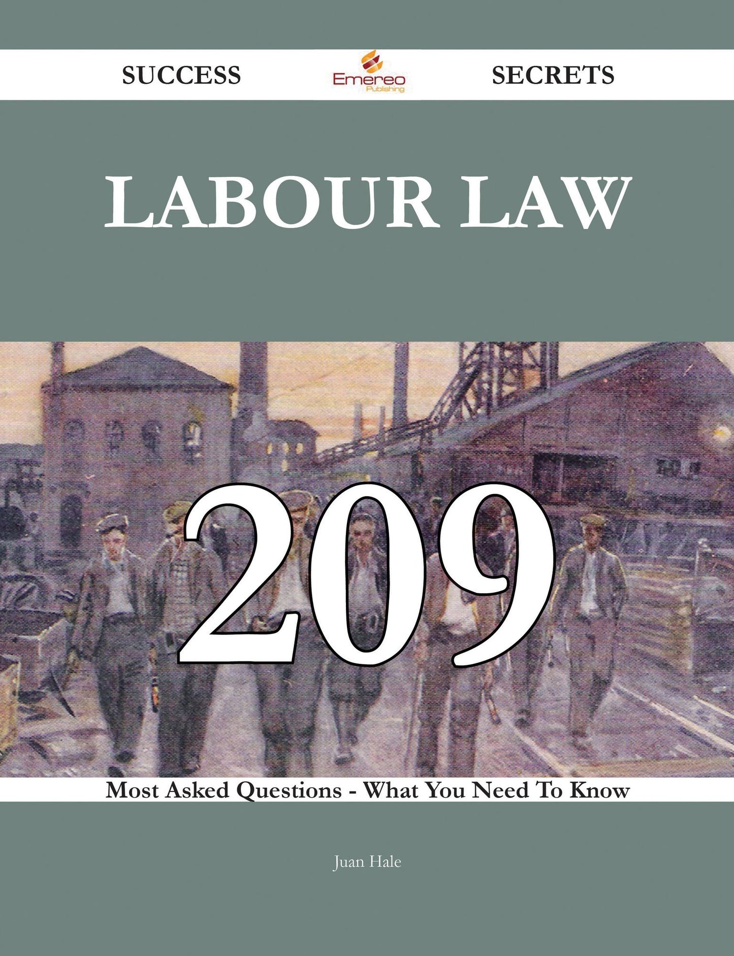 Labour law 209 Success Secrets - 209 Most Asked Questions On Labour law - What You Need To Know