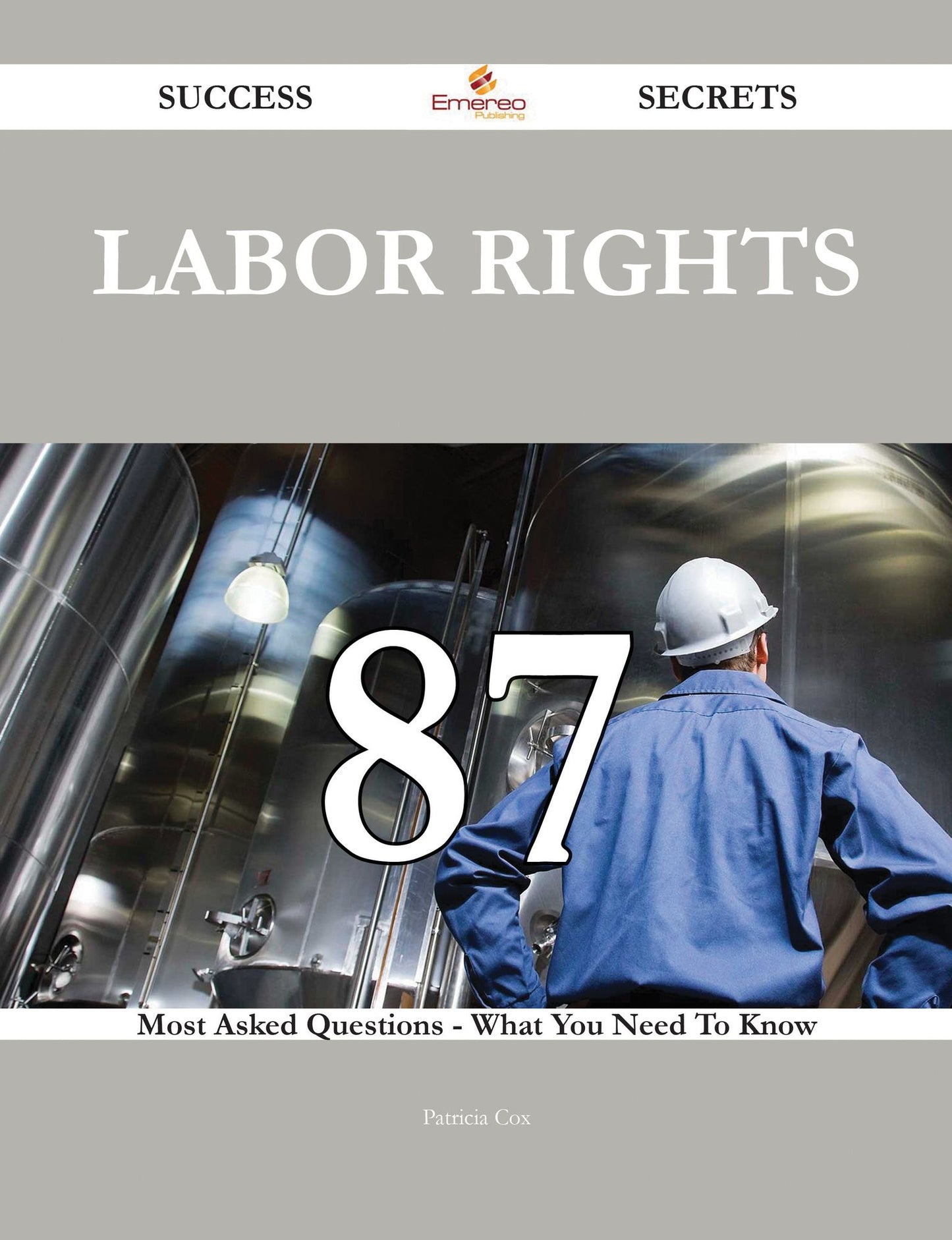 Labor rights 87 Success Secrets - 87 Most Asked Questions On Labor rights - What You Need To Know