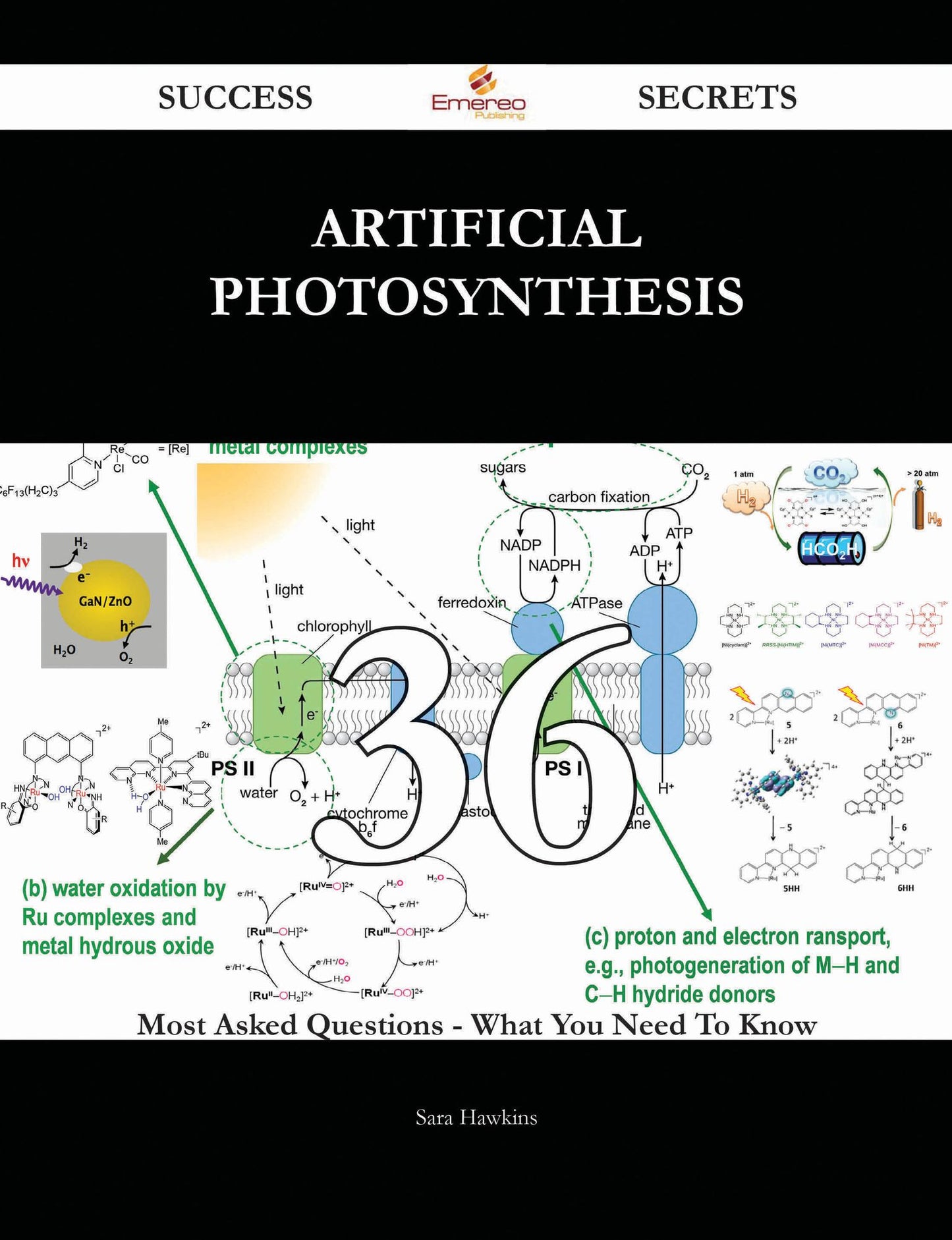 Artificial photosynthesis 36 Success Secrets - 36 Most Asked Questions On Artificial photosynthesis - What You Need To Know