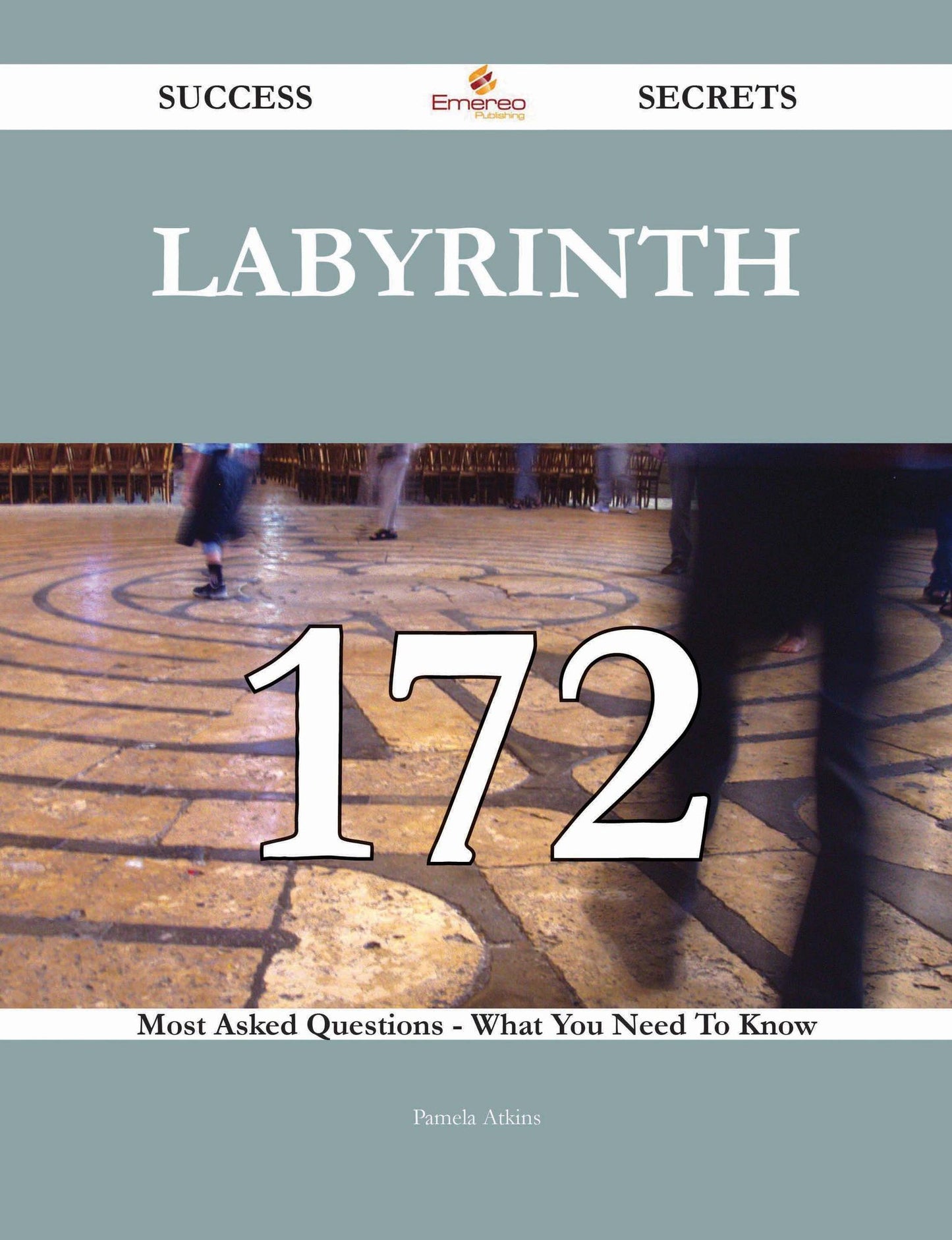 Labyrinth 172 Success Secrets - 172 Most Asked Questions On Labyrinth - What You Need To Know