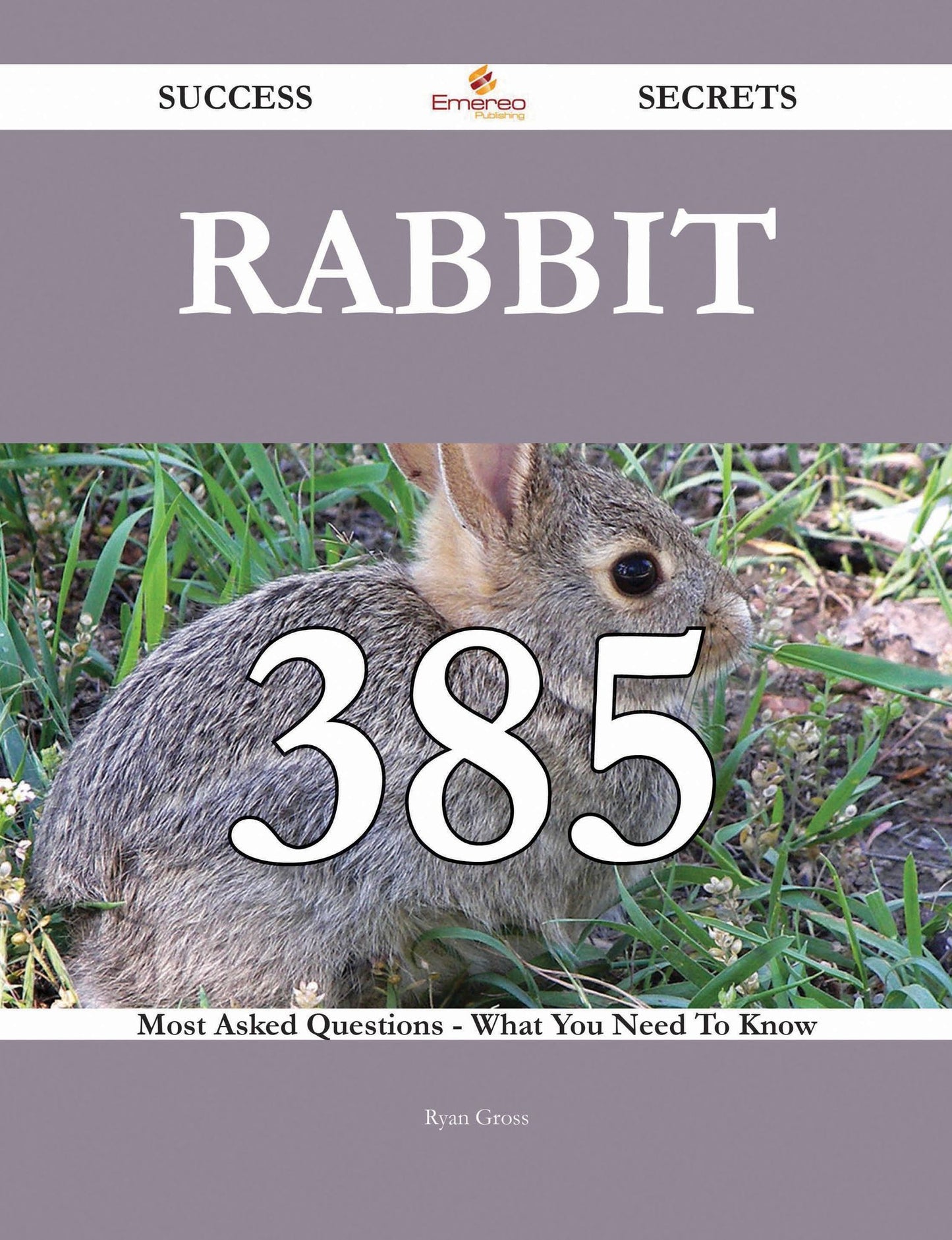 Rabbit 385 Success Secrets - 385 Most Asked Questions On Rabbit - What You Need To Know