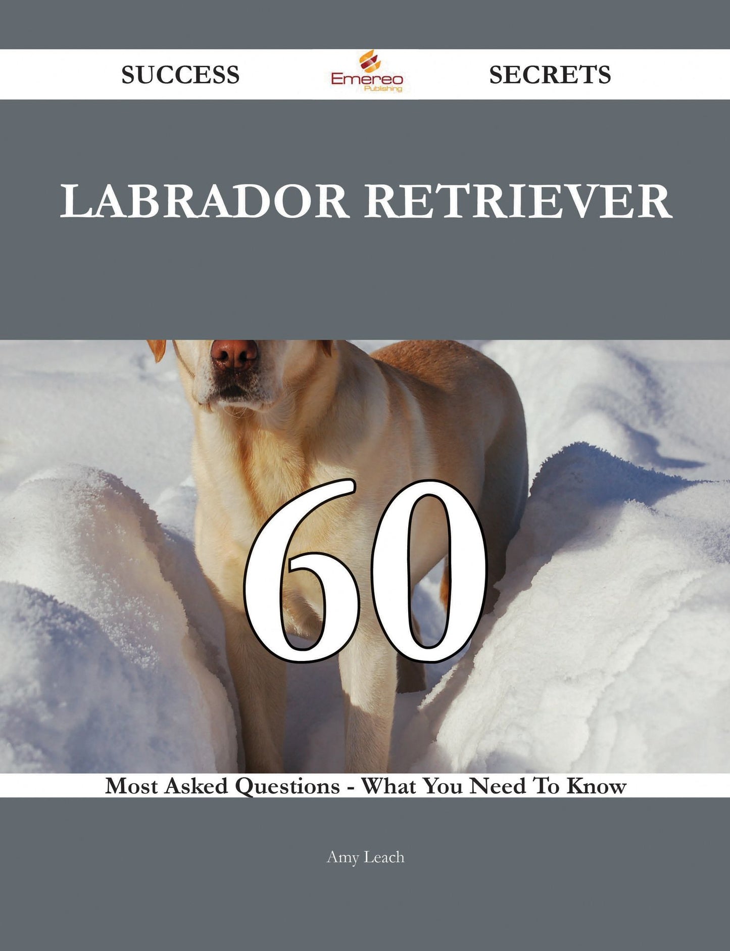 Labrador Retriever 60 Success Secrets - 60 Most Asked Questions On Labrador Retriever - What You Need To Know