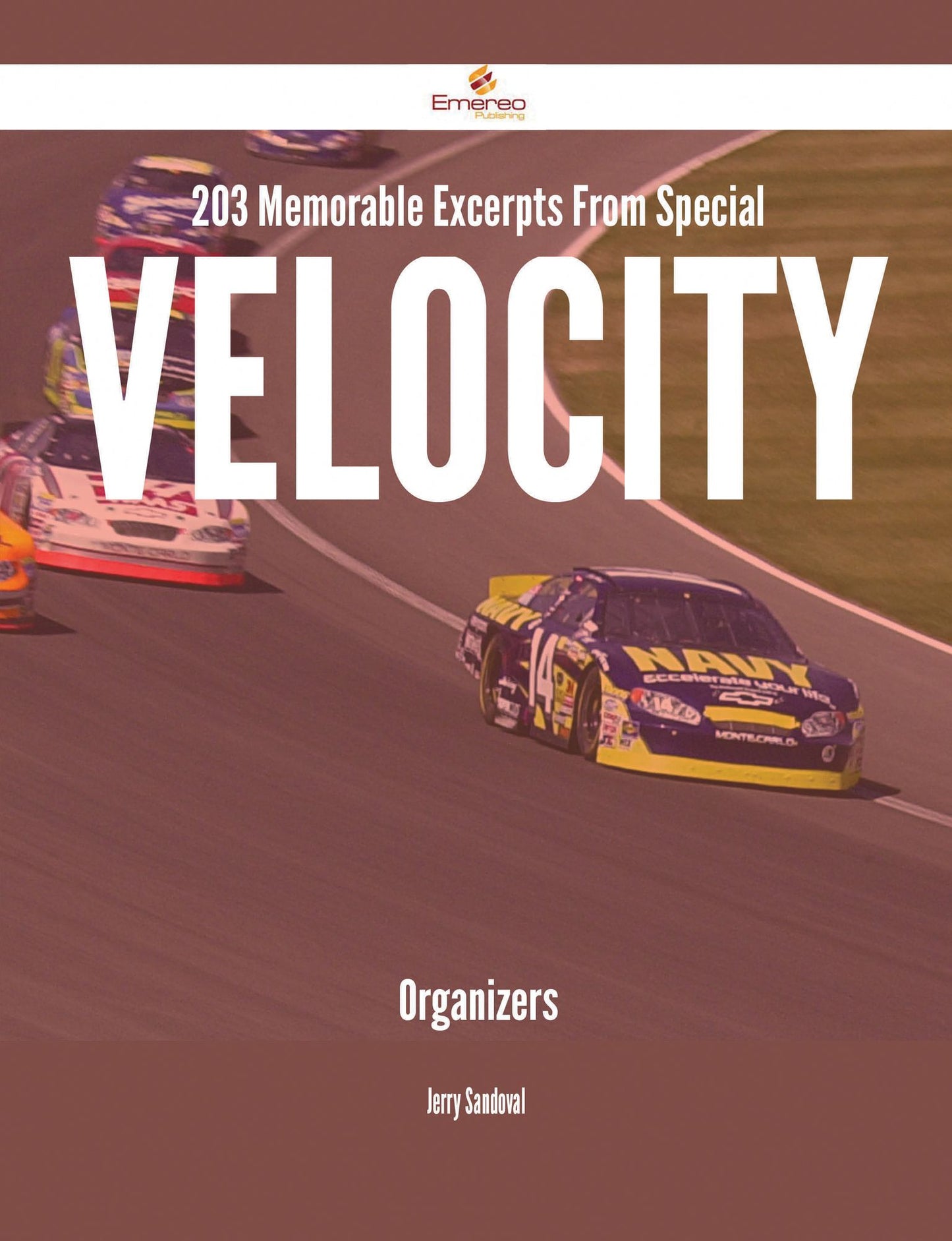 203 Memorable Excerpts From Special Velocity Organizers