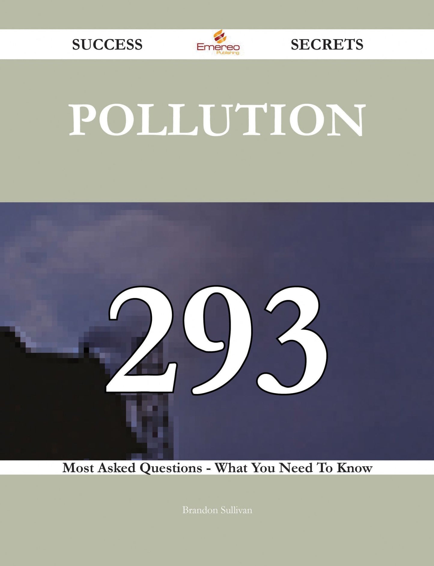 Pollution 293 Success Secrets - 293 Most Asked Questions On Pollution - What You Need To Know
