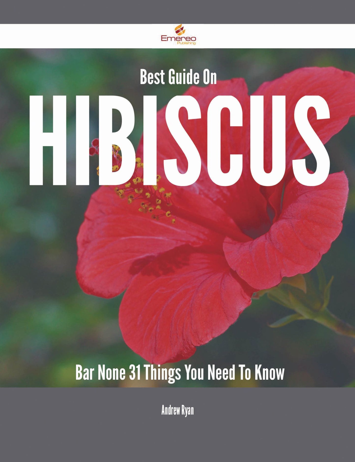 Best Guide On Hibiscus- Bar None - 31 Things You Need To Know