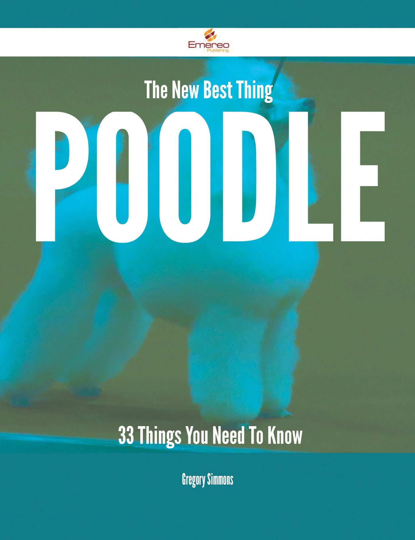 The New Best Thing Poodle - 33 Things You Need To Know
