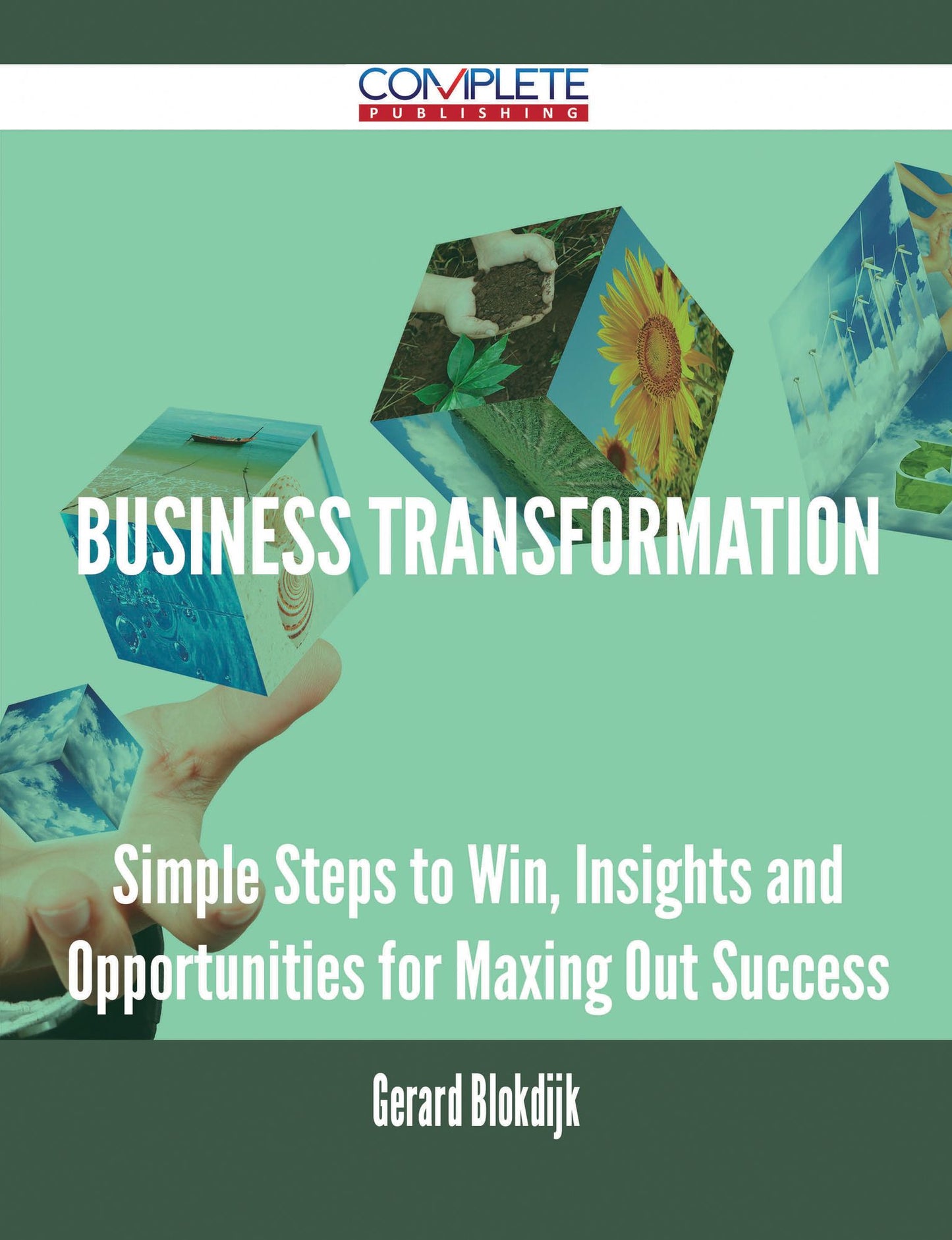 Business Transformation - Simple Steps to Win, Insights and Opportunities for Maxing Out Success