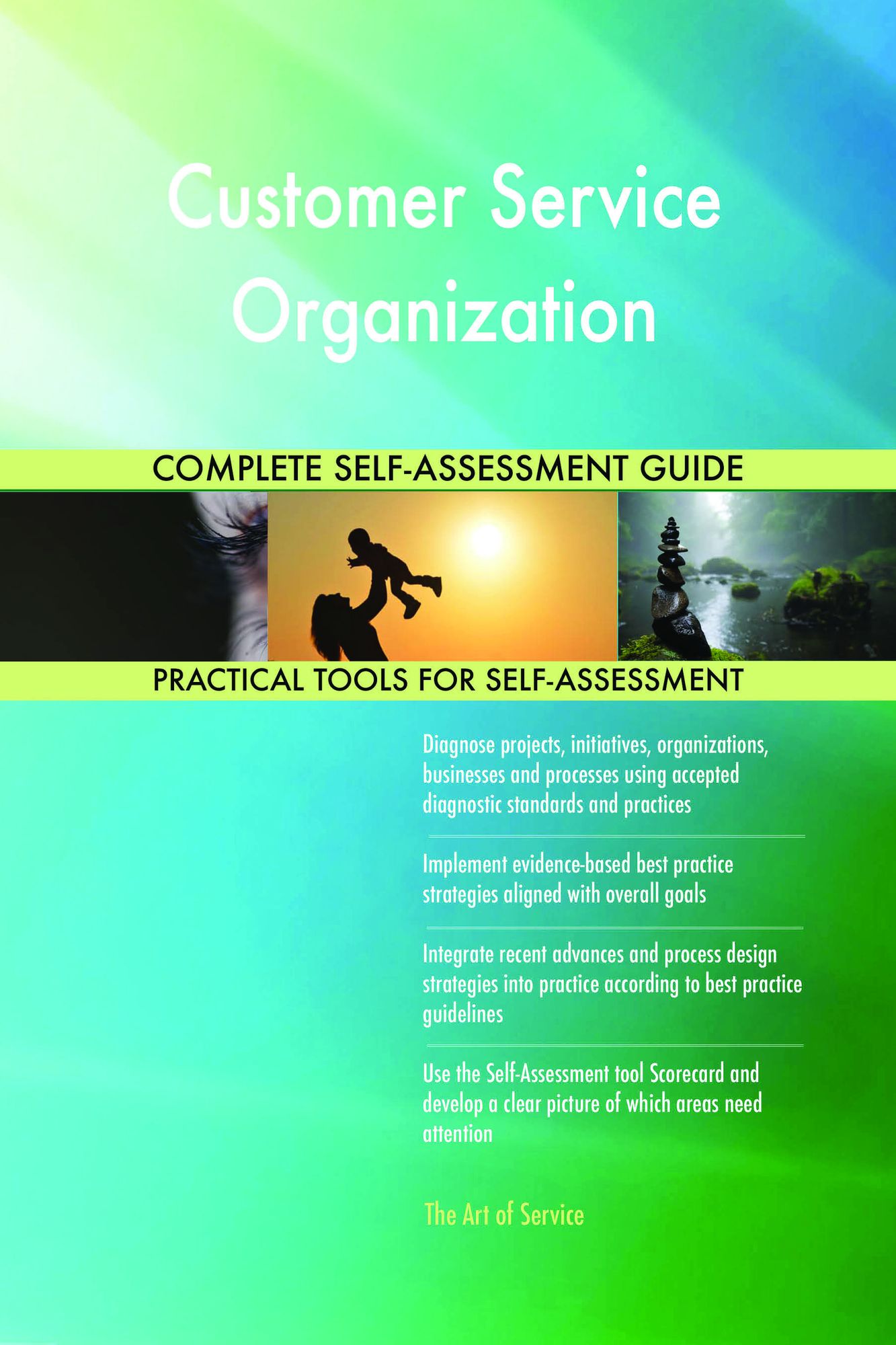 Customer Service Organization Complete Self-Assessment Guide