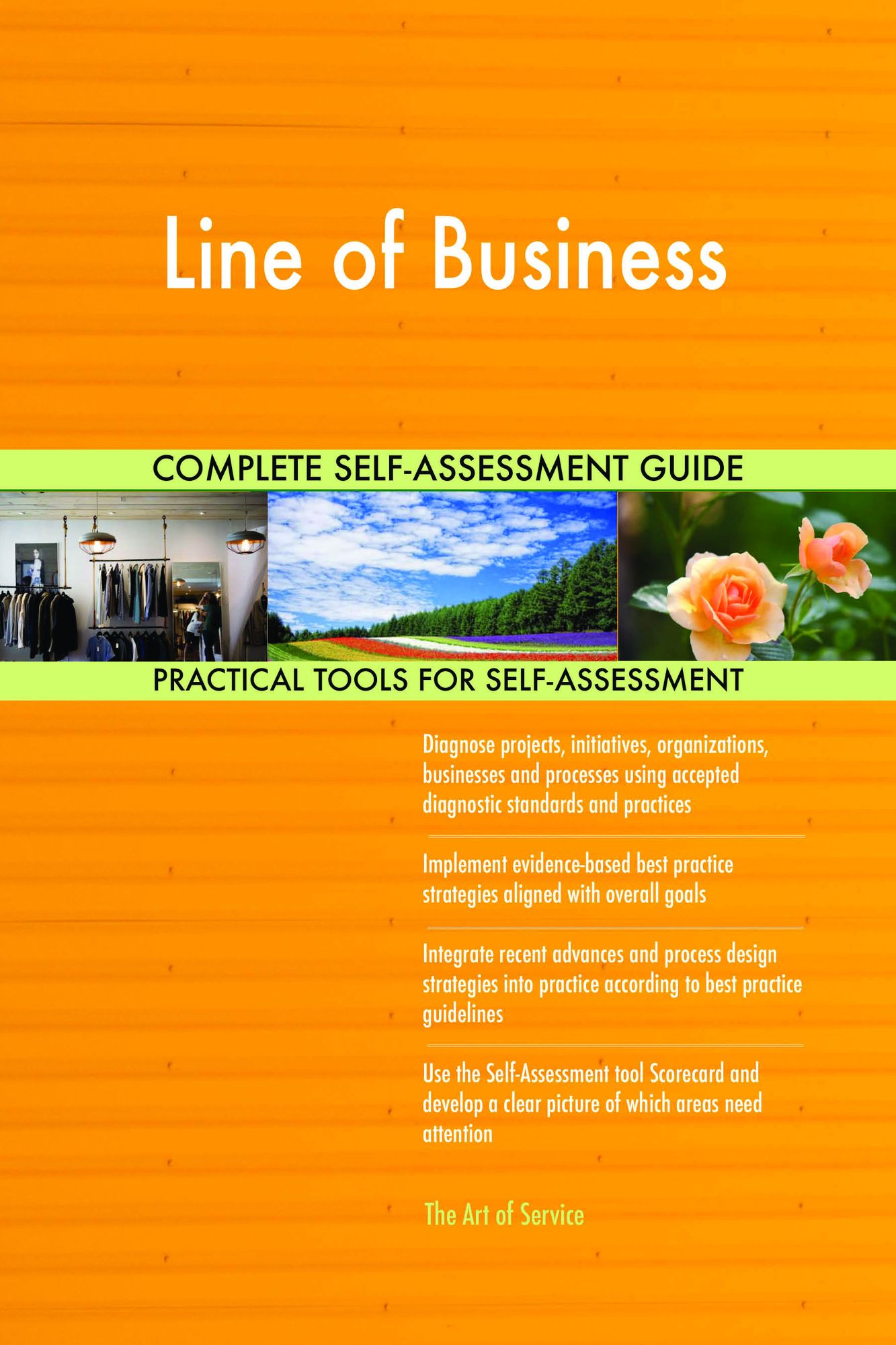 Line of Business Complete Self-Assessment Guide