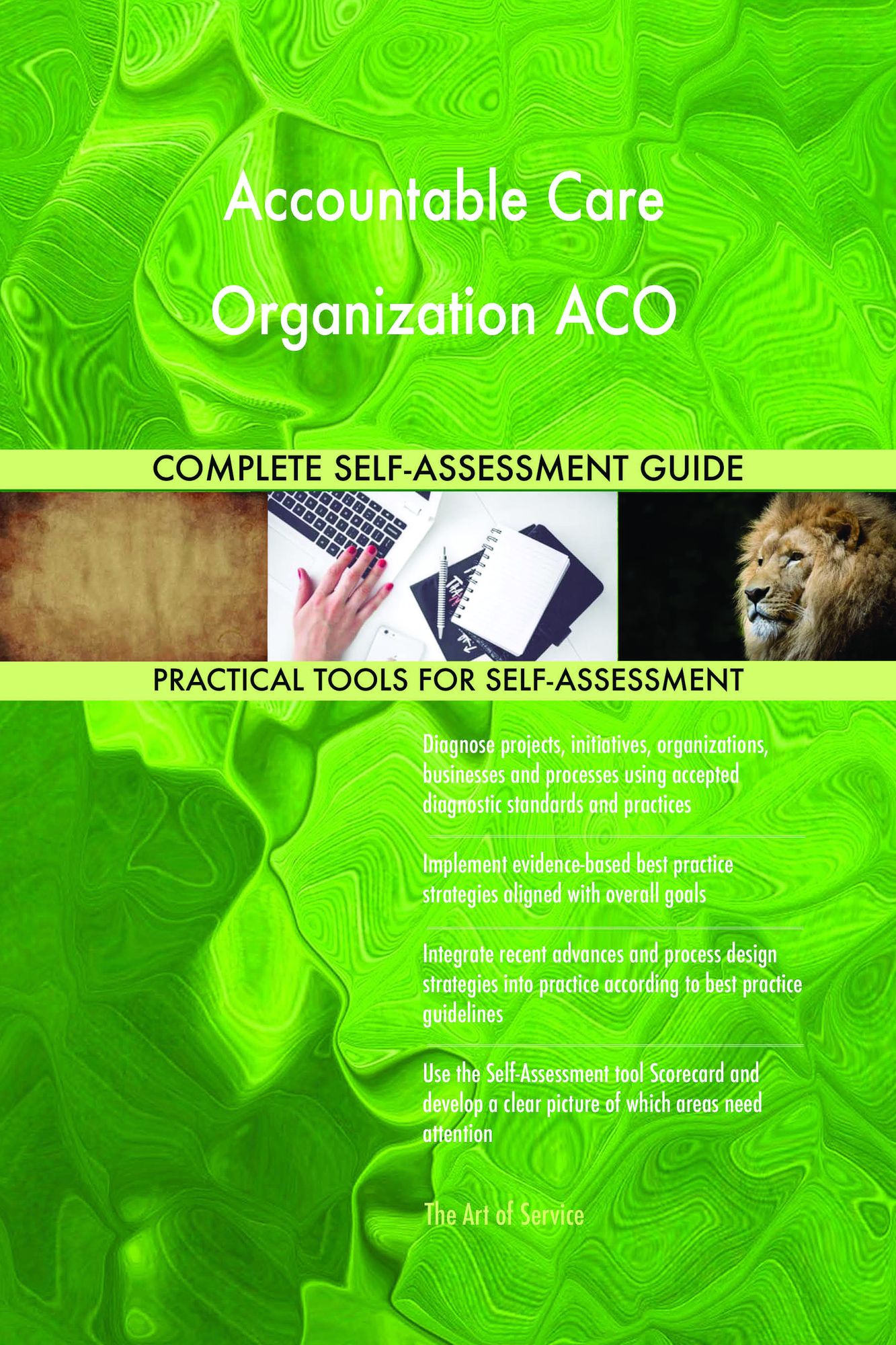 Accountable Care Organization ACO Complete Self-Assessment Guide