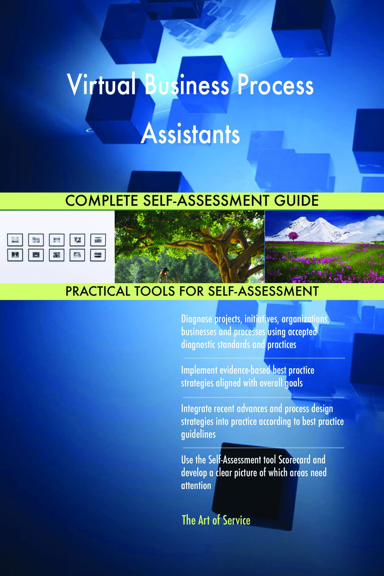 Virtual Business Process Assistants Complete Self-Assessment Guide