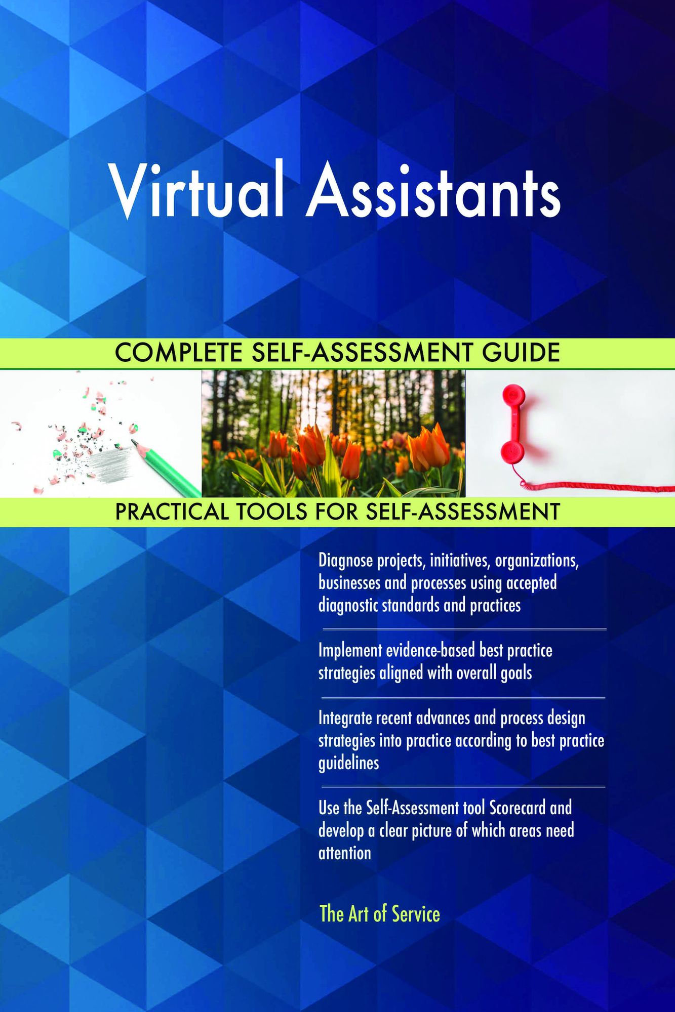 Virtual Assistants Complete Self-Assessment Guide