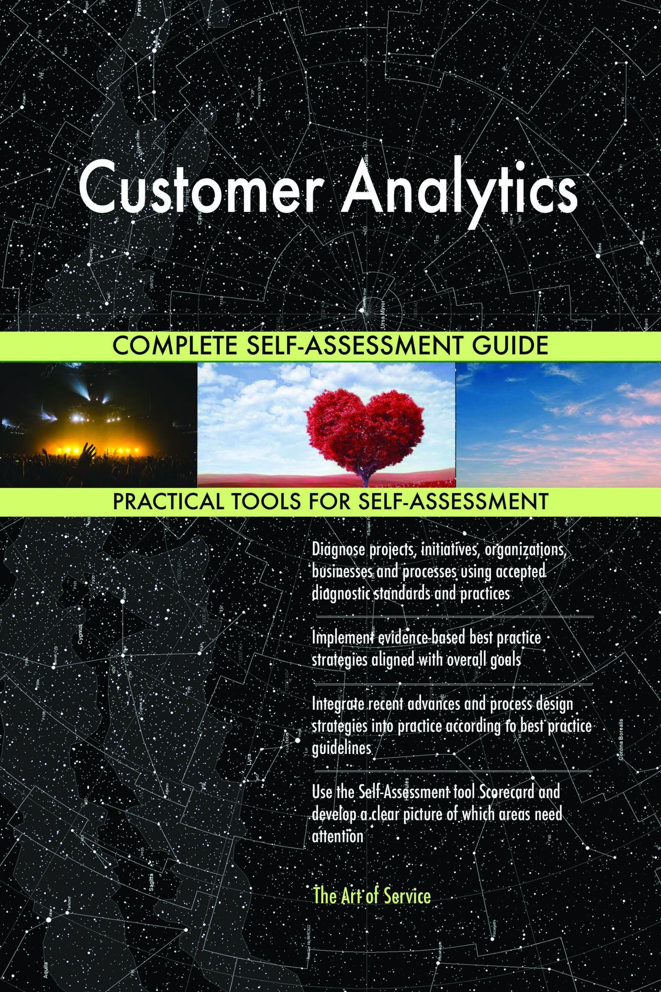 Customer Analytics Complete Self-Assessment Guide