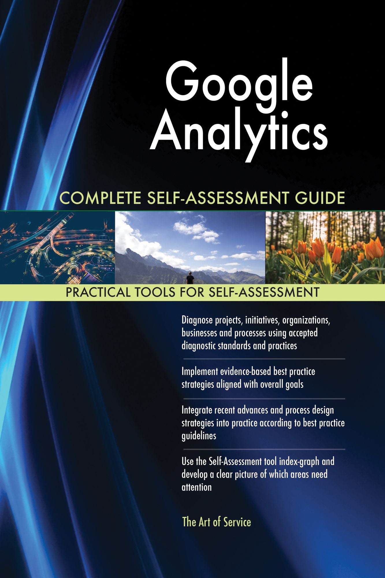 Google Analytics Complete Self-Assessment Guide