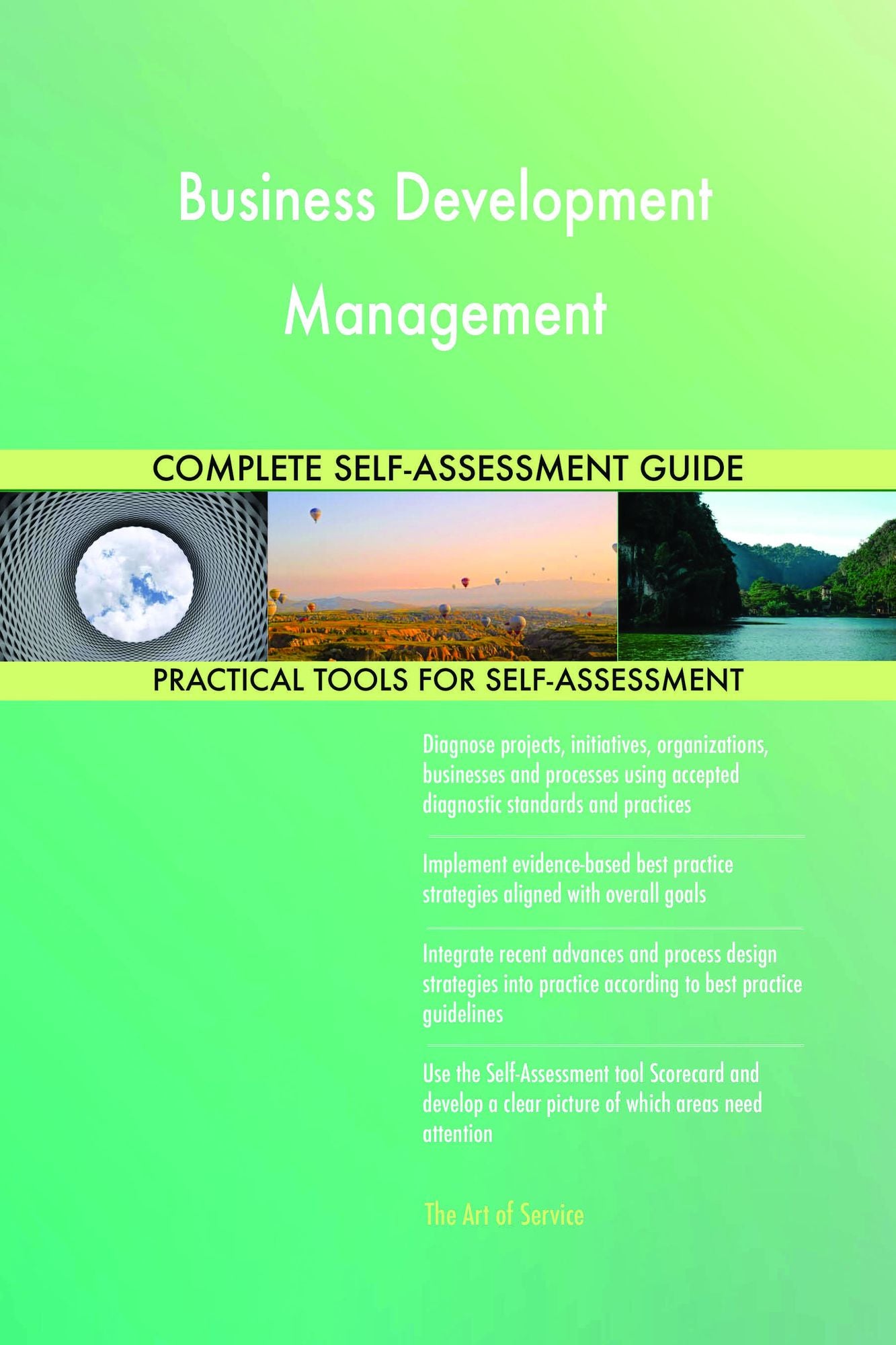 Business Development Management Complete Self-Assessment Guide