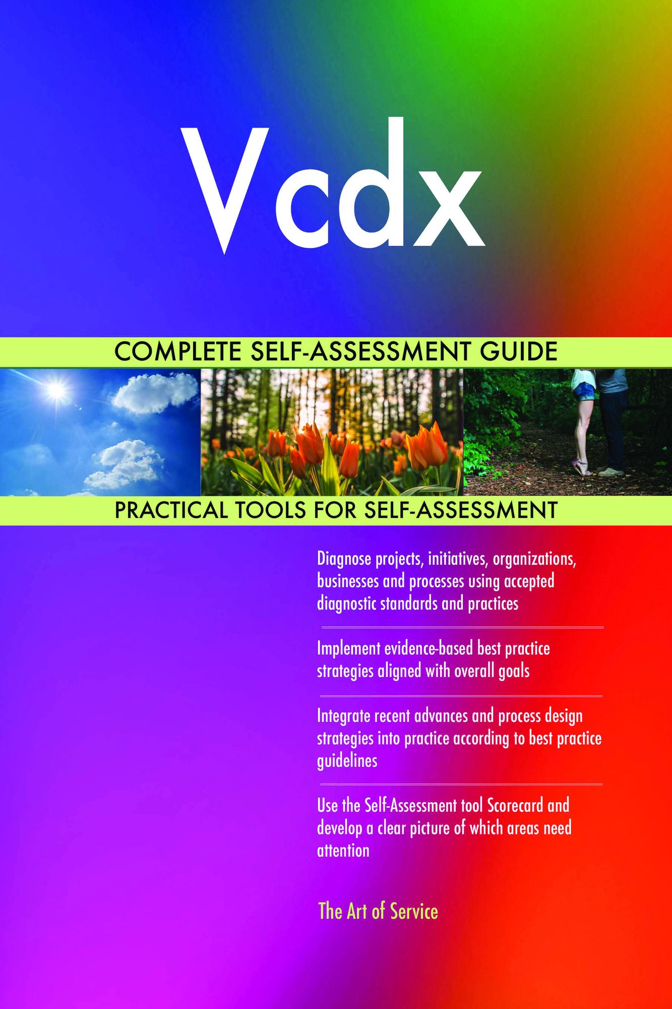 Vcdx Complete Self-Assessment Guide