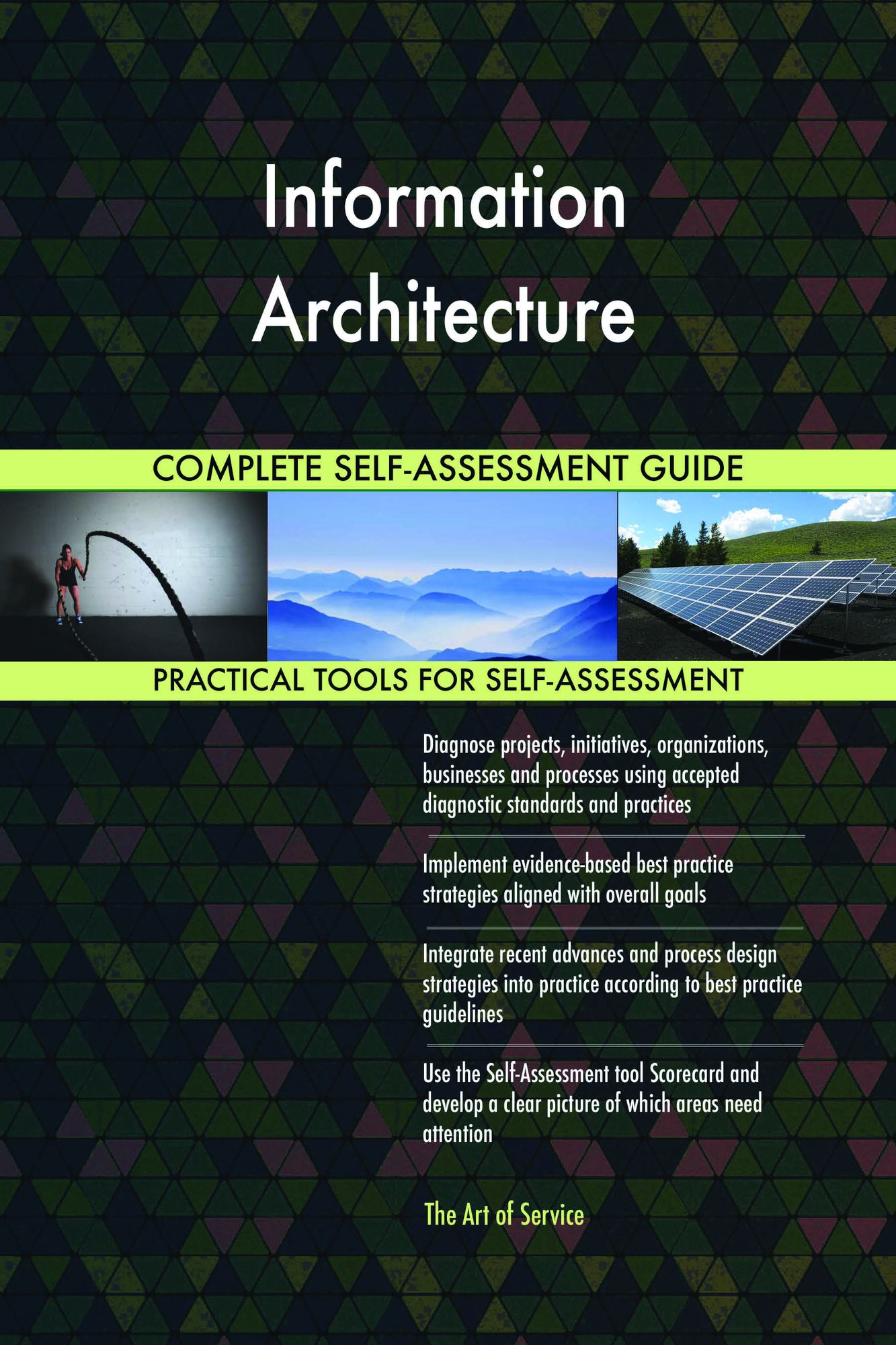 Information Architecture Complete Self-Assessment Guide