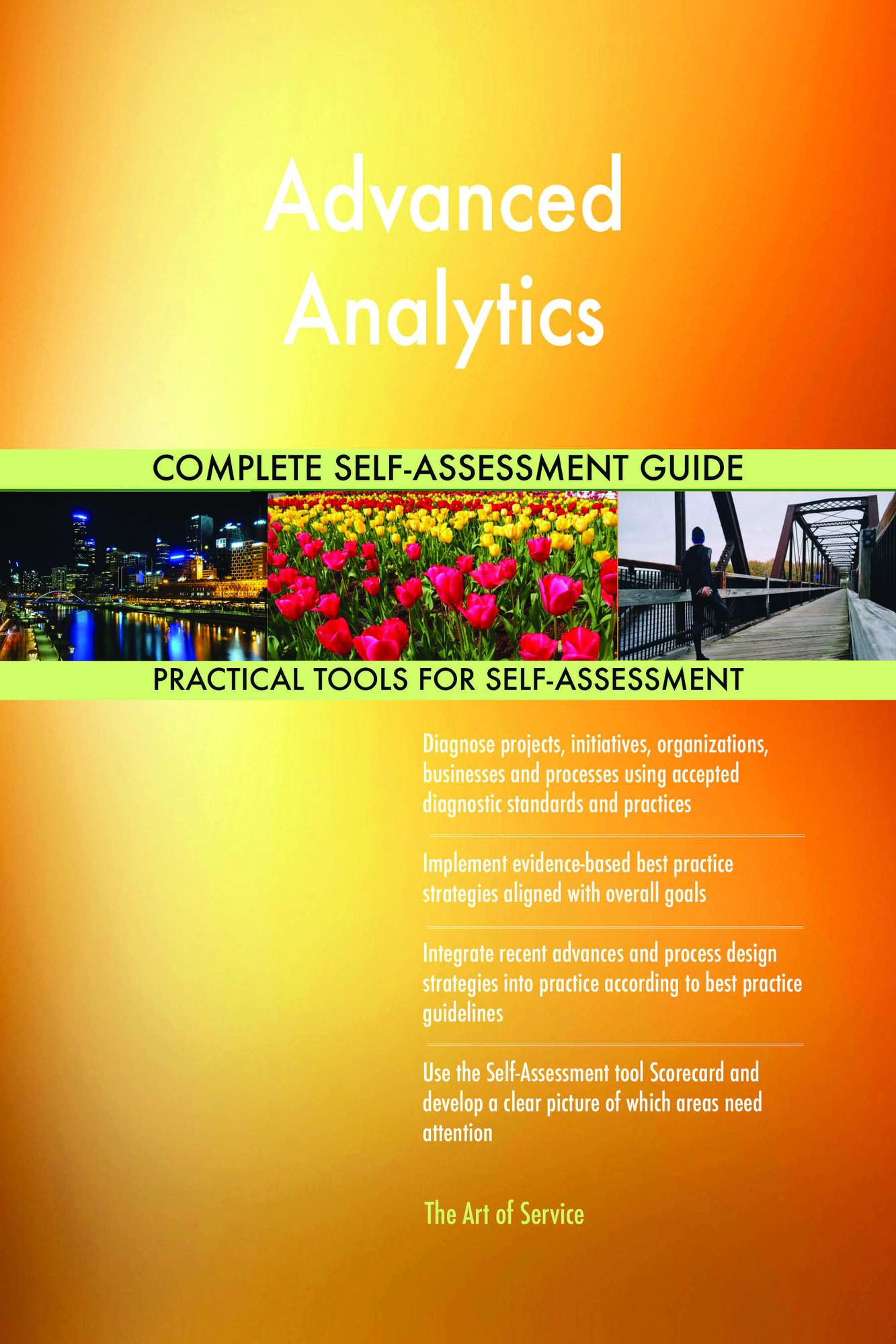 Advanced Analytics Complete Self-Assessment Guide