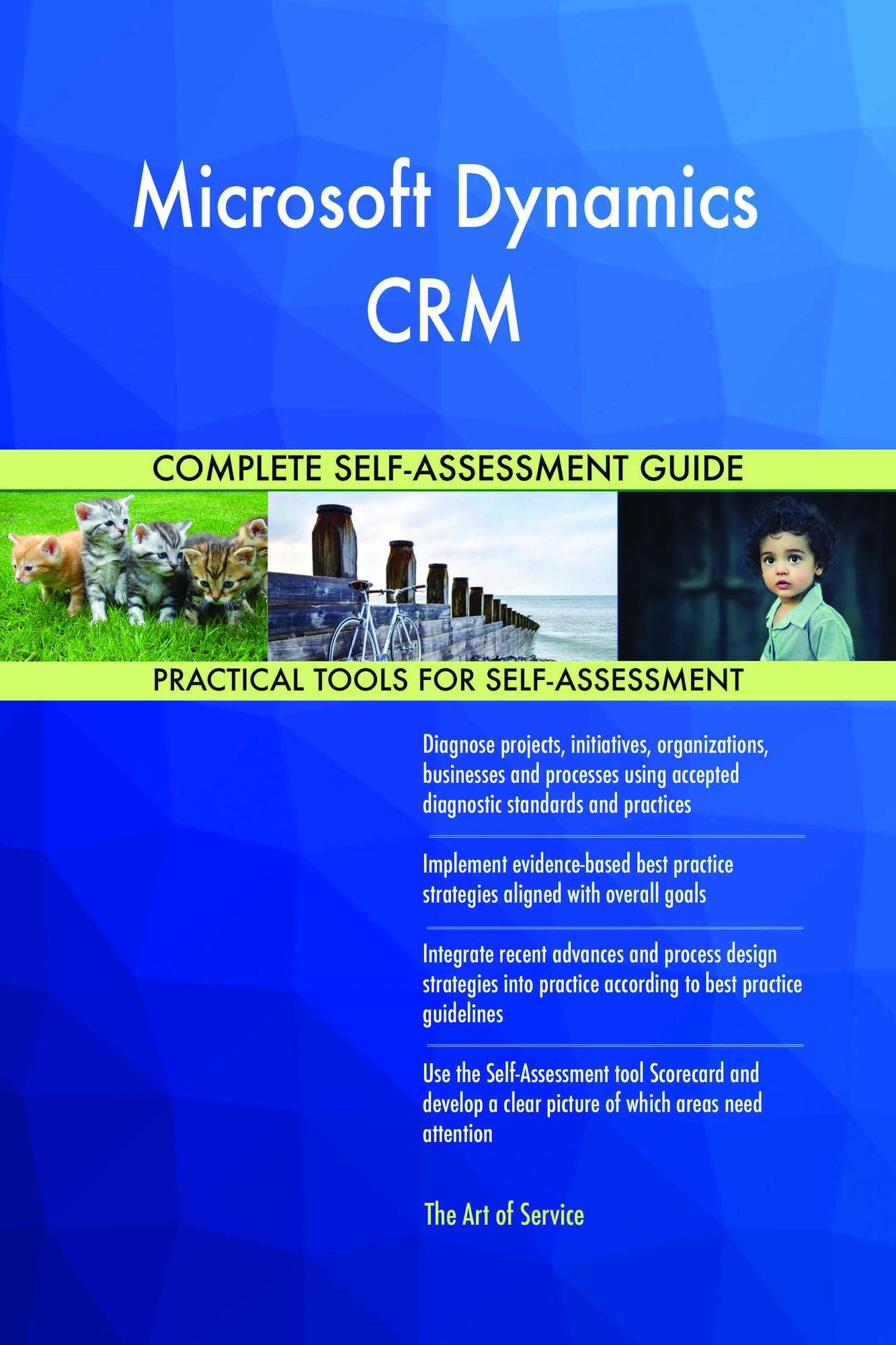 Microsoft Dynamics CRM Complete Self-Assessment Guide