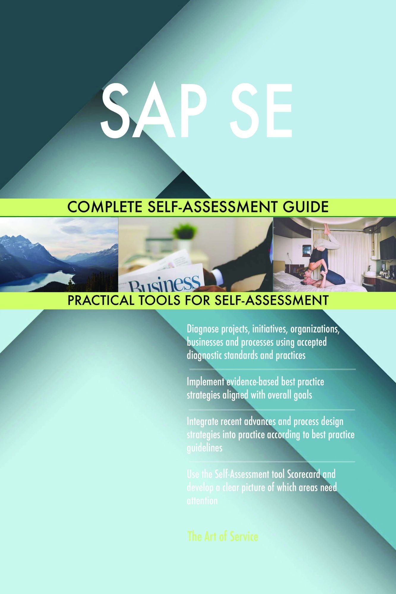 SAP SE Complete Self-Assessment Guide