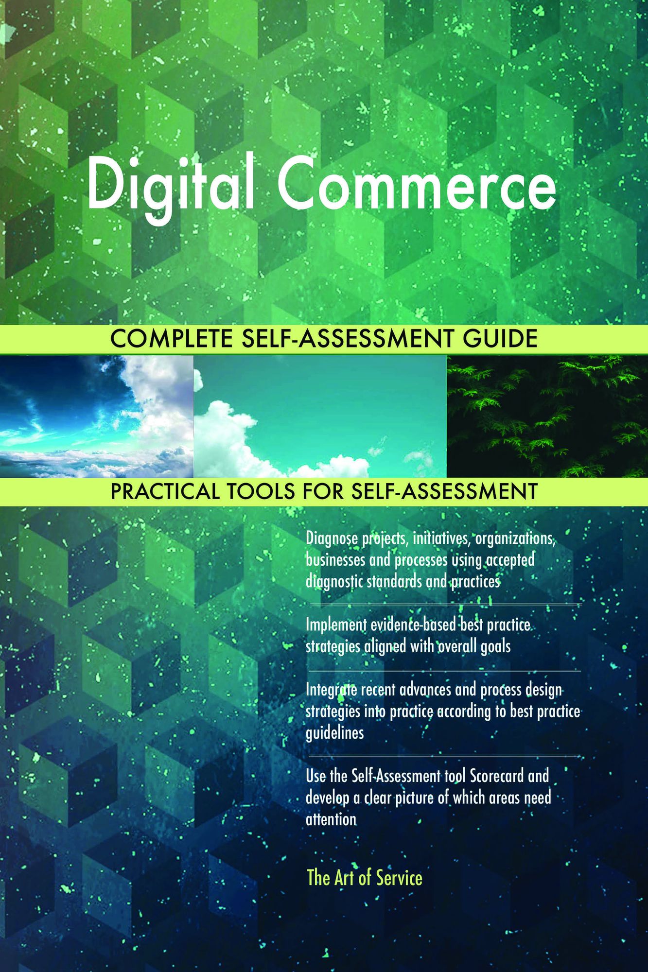 Digital Commerce Complete Self-Assessment Guide