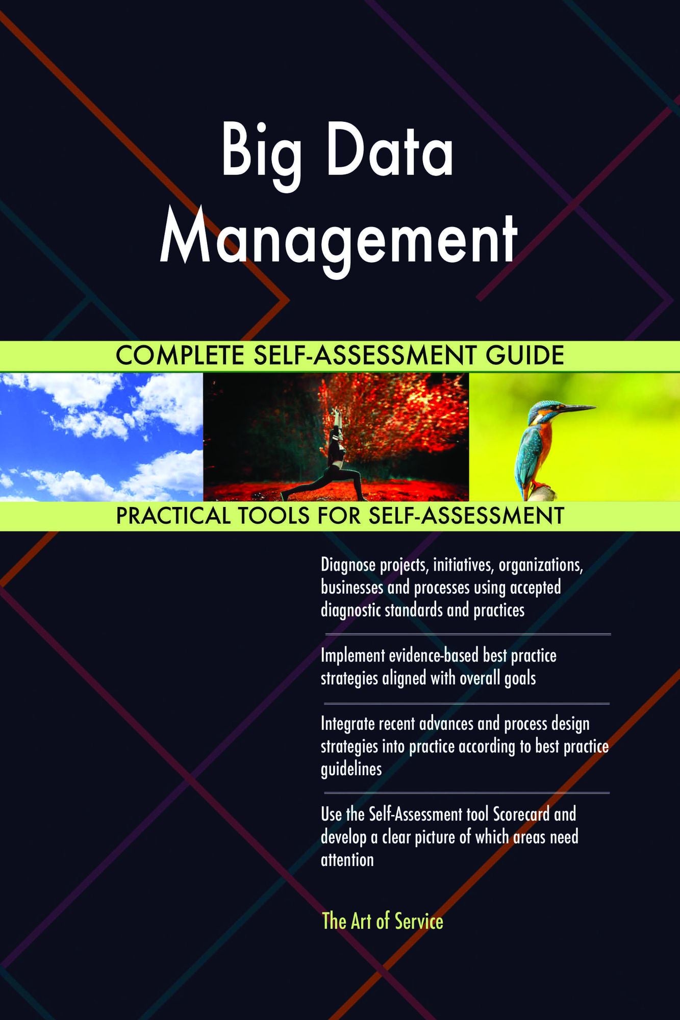 Big Data Management Complete Self-Assessment Guide