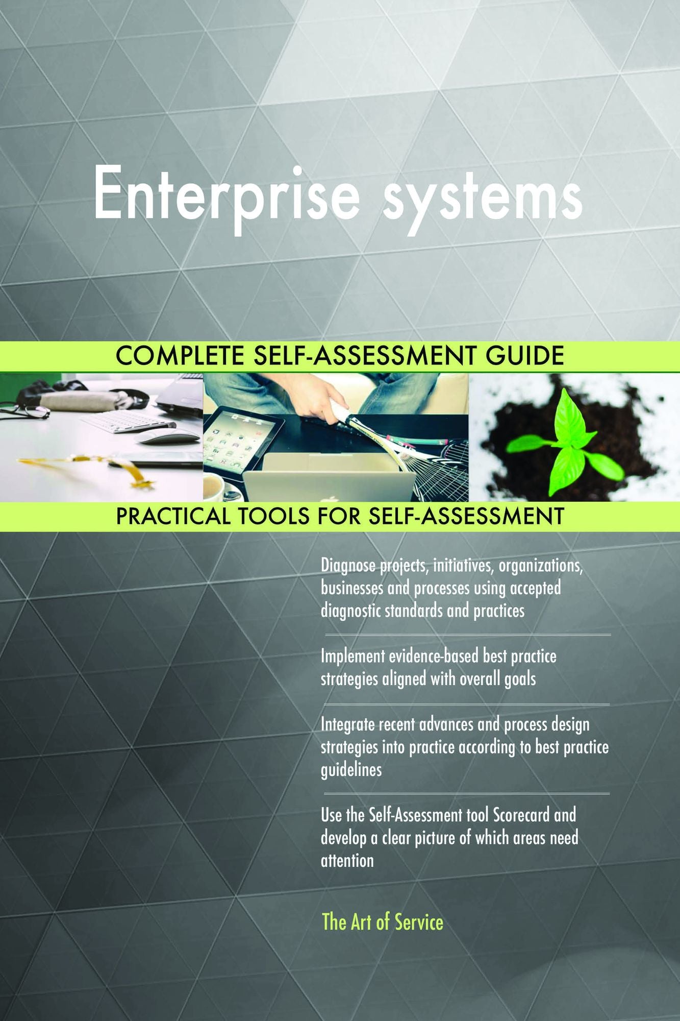Enterprise systems Complete Self-Assessment Guide