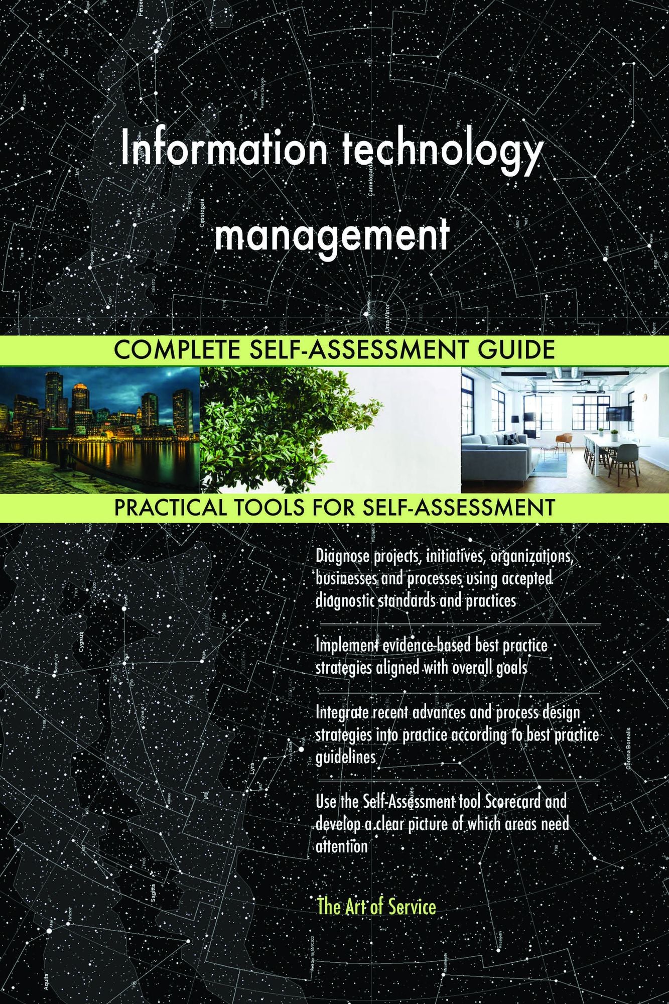 Information technology management Complete Self-Assessment Guide