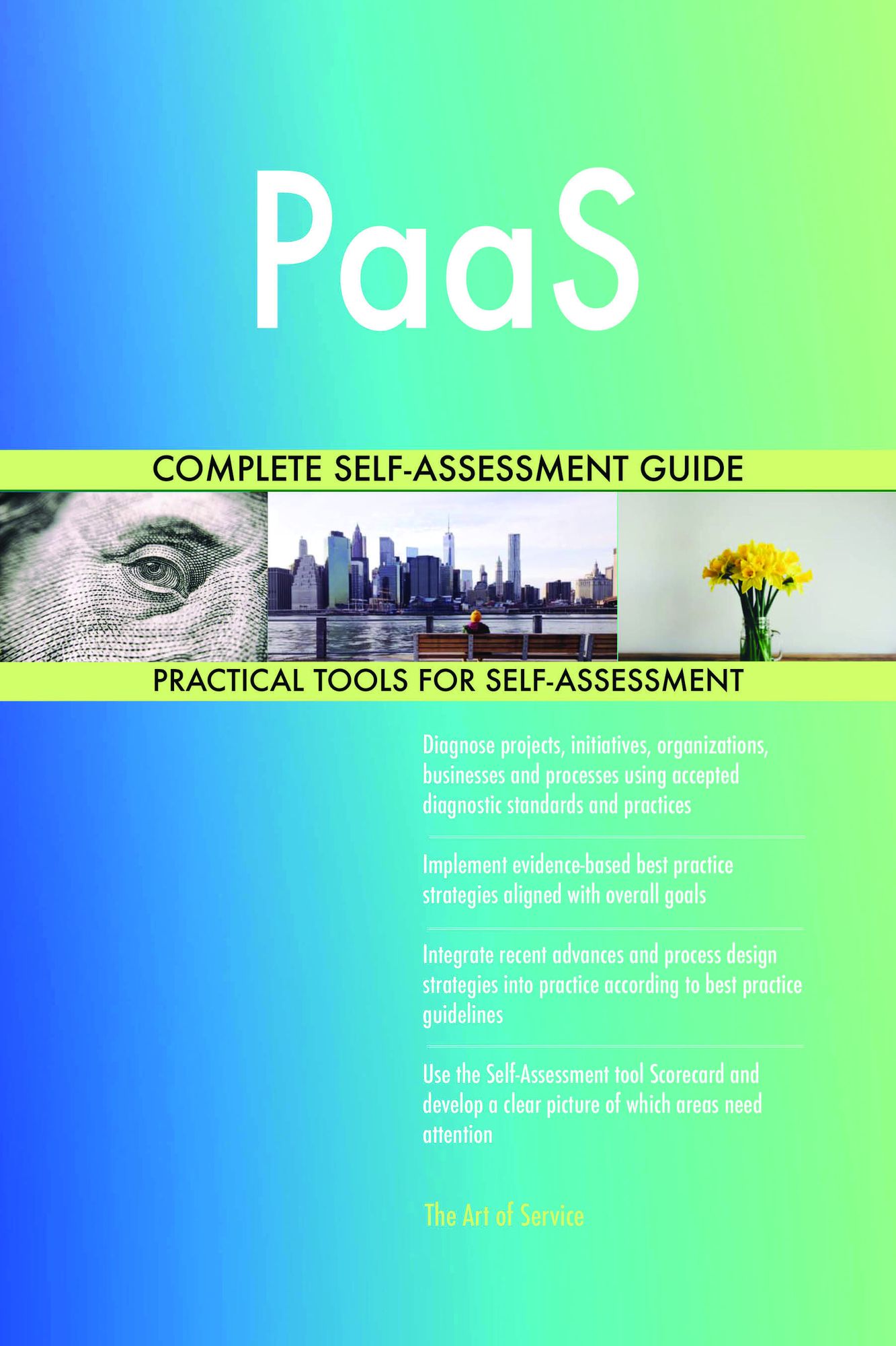 PaaS Complete Self-Assessment Guide