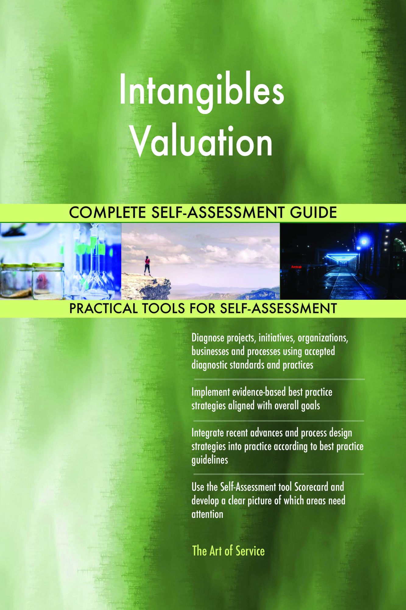 Intangibles Valuation Complete Self-Assessment Guide