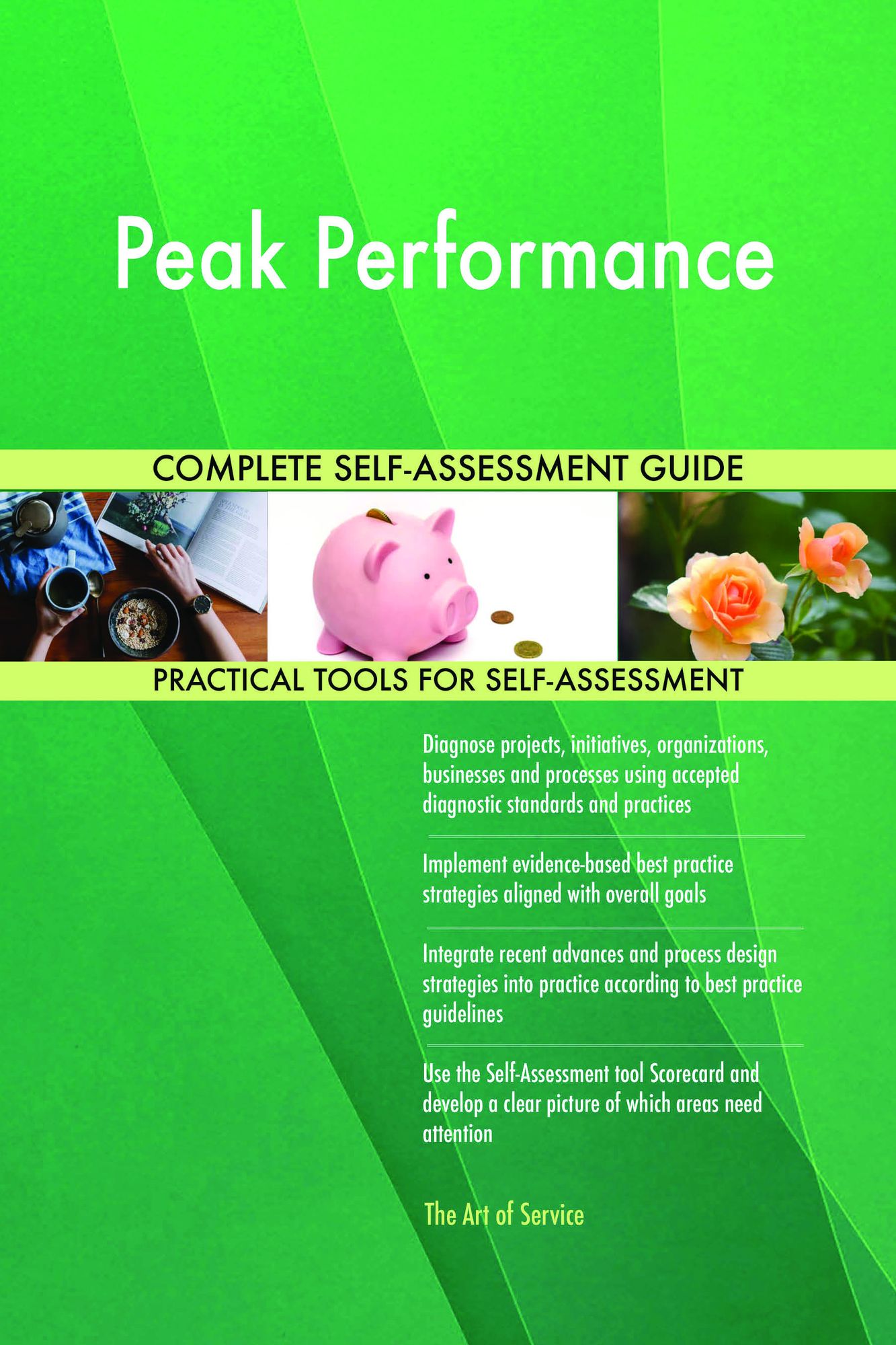 Peak Performance Complete Self-Assessment Guide