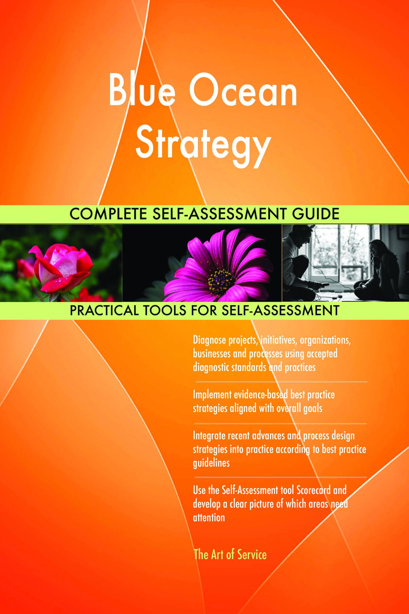Blue Ocean Strategy Complete Self-Assessment Guide