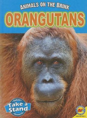 Orangutans