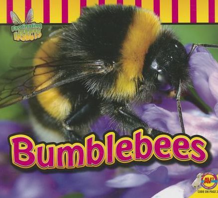Bumblebees