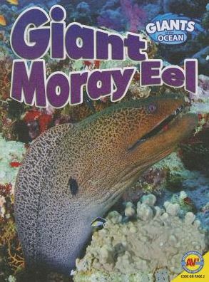 Giant Moray Eel