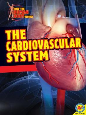 The Cardiovascular System