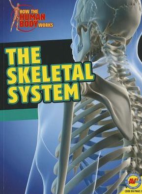 The Skeletal System