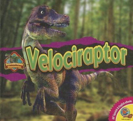 Velociraptor