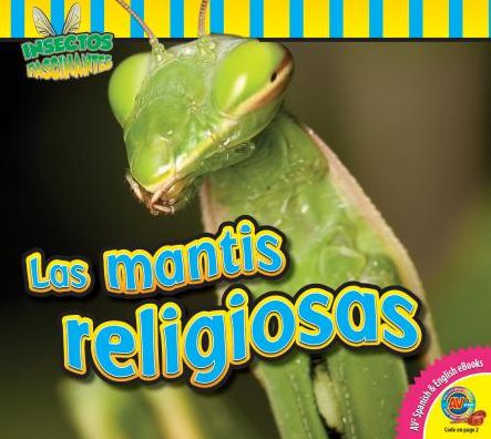 Las Mantis Religiosas