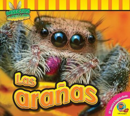 Las Aranas