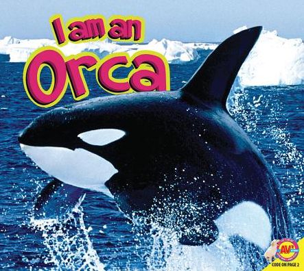 Orca