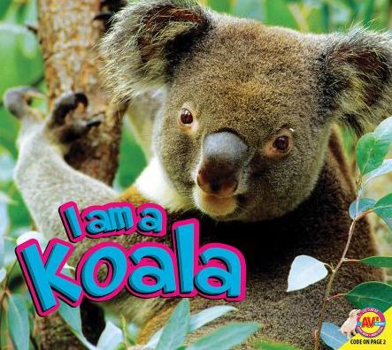 I Am a Koala