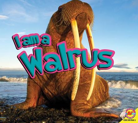 I Am a Walrus