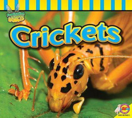 Crickets