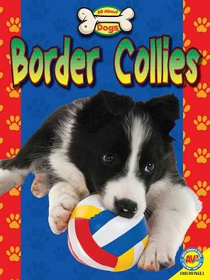 Border Collies