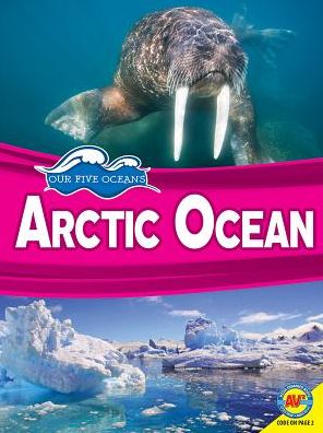 Arctic Ocean