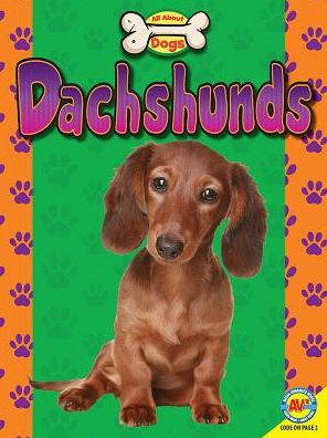 Dachshunds