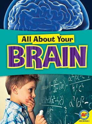 Brain