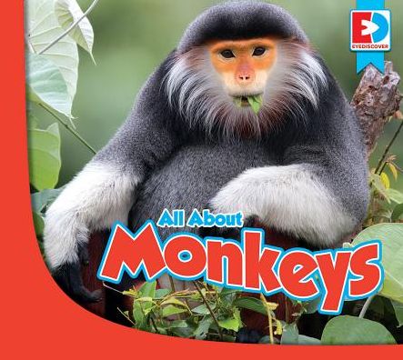 All about Monkeys